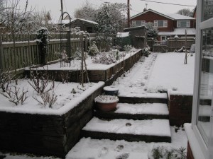 Vår trädgård i vinterskrud