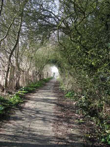 Överväxta vägar som denna ser man sällan i Sverige.