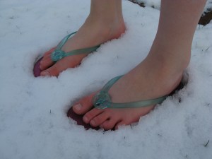 K:s varmblodighet håller i sig.