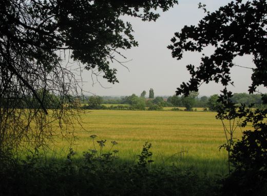 Utsikt från kanalen.