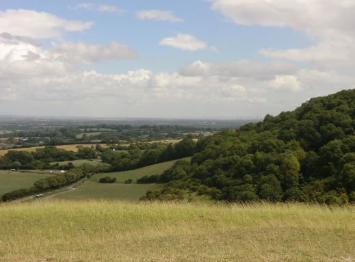 Utsikt hemåt från White Horse.