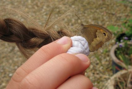 Fjärilar finns det också i massor, men de låter inte så mycket. Den här landade på K:s fläta.