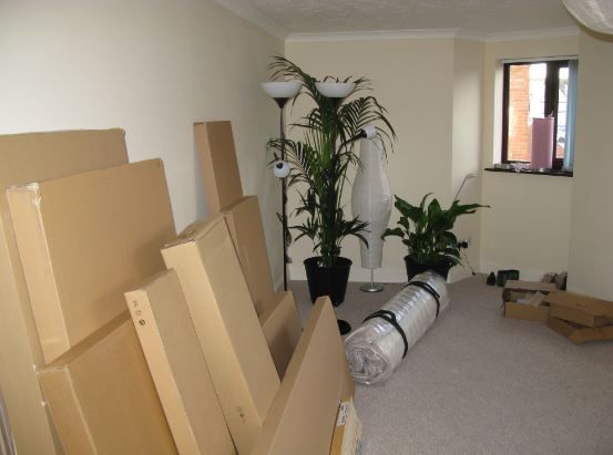 Drygt hälften av IKEA-lådorna. Växterna och lamporna i bakgrunden köpte jag för julklappspengar från min morfar och hans fru. Jag festade till och köpte en mycket dyrare palm än jag tänkt från början. Tack S och morfar.