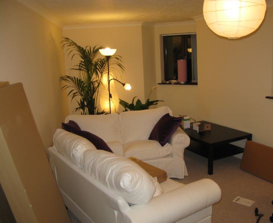 Jo, jag är medveten om att vit inte är en bra färg på soffa. Men den var ca £100 billigare än någon annan färg. Och vi har inte tänkt ha dem så jättelänge.