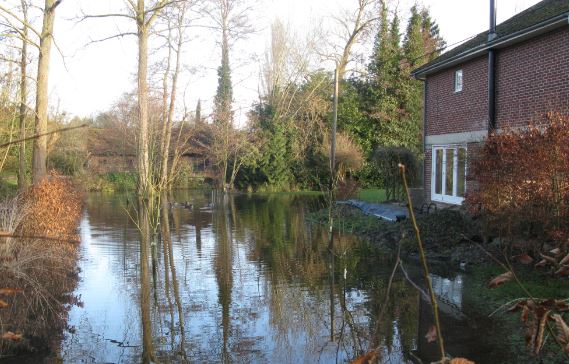 Stans lägst liggande trädgård är drabbad precis som i fjol. Här brukar det vara gräsmatta och små fruktträd. En till trädgård är drabbad.