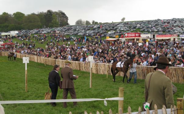 Innan varje lopp visas hästarna upp.