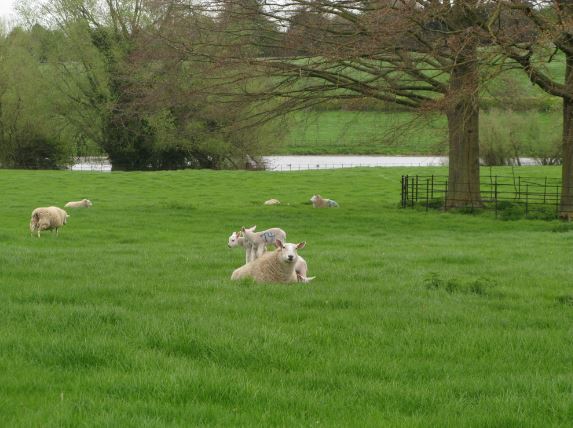 "Vi hade trivts ännu bättre om det inte kom en massa folk och störde hela tiden..."