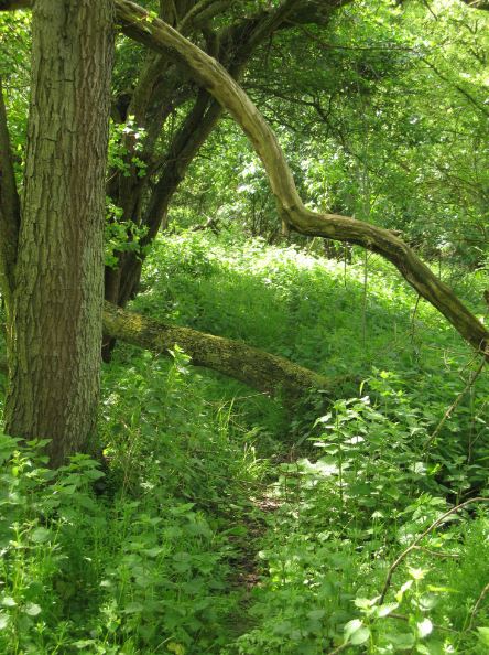 Stigen gick fortfarande att se.