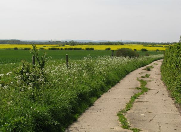 Nu började vägen få gräs i mitten och jag tänkte på mina föräldars vägval.