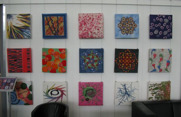 Jag gillade konsten som olika grupper och personer gjort.