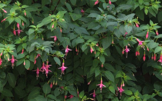 Och med lite mer zoom.