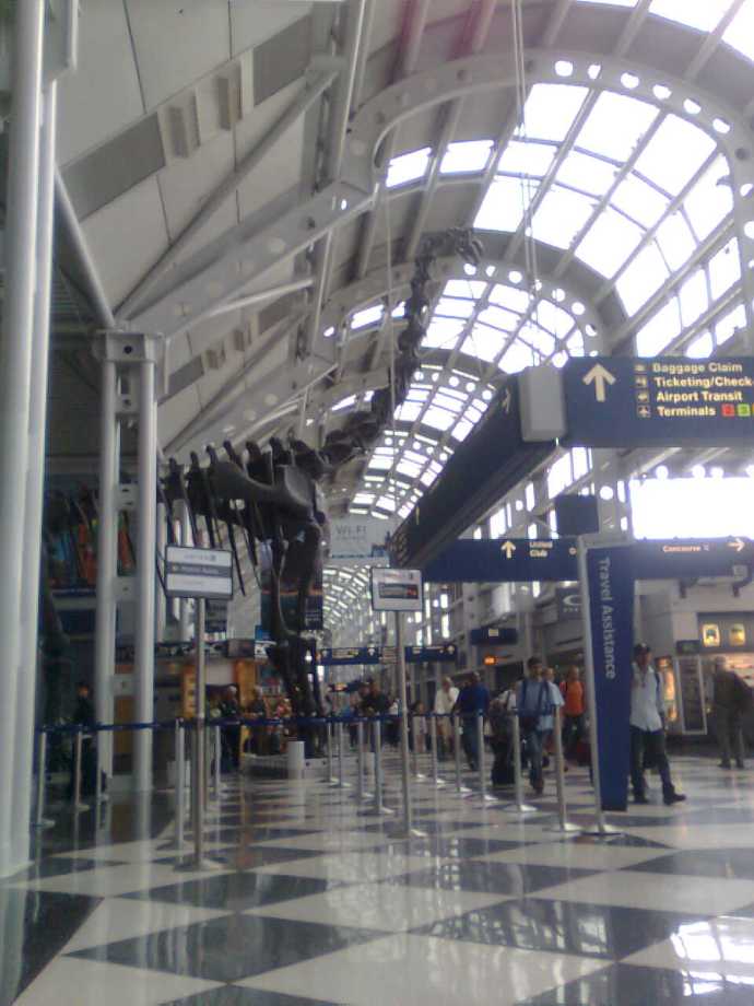 Terminal 1, Chicago O'Hare flygplats. Eftersom jag förknippar Chicago med stålkonstruktioner gillar jag hur tydligt stålbalkarna har en plats i arkitekturen även här. Att sen slänga in en kopia på ett dinosaurieskelett vars hals imiterar formen är genialt. Ursäkta om mina kommentarer blev lite pretentiösa.