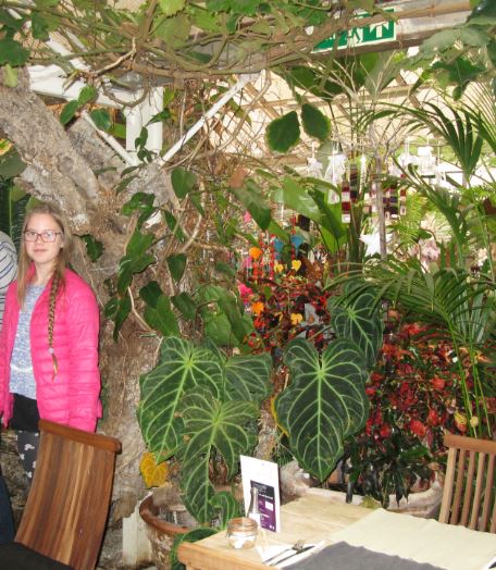 Färdigfikat. För den här gången i alla fall.