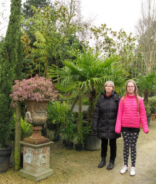 Vi åkte till en häftig handelsträdgård som  specialiserat sig på stora växter, gärna med lite tropiskt utseende. Här poserar K med mormor bland palmerna.