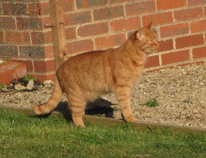 och vår andra besökare.