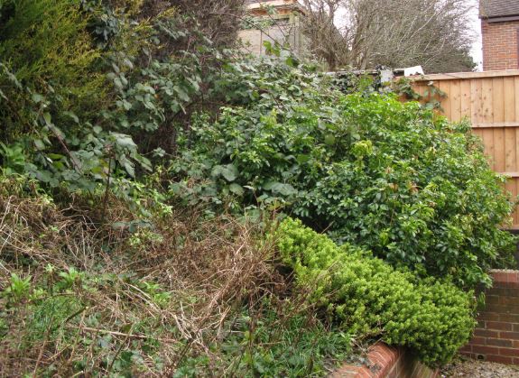 Före djungel-massakern