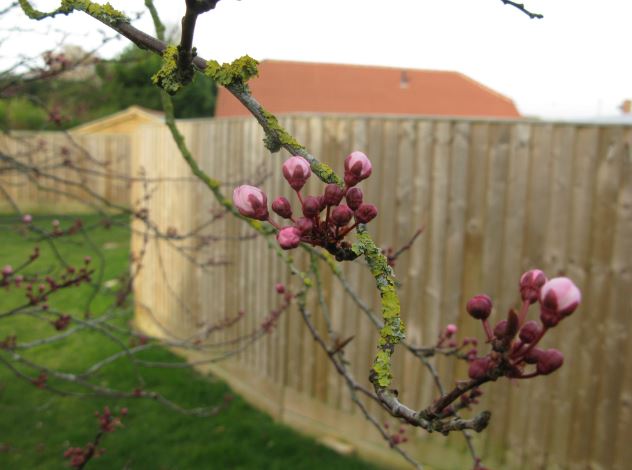 Fler på gång. Många fler.