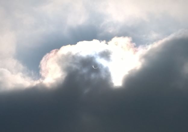 Kollegan L har en telefon som tar hyggliga bilder, bland annat den här