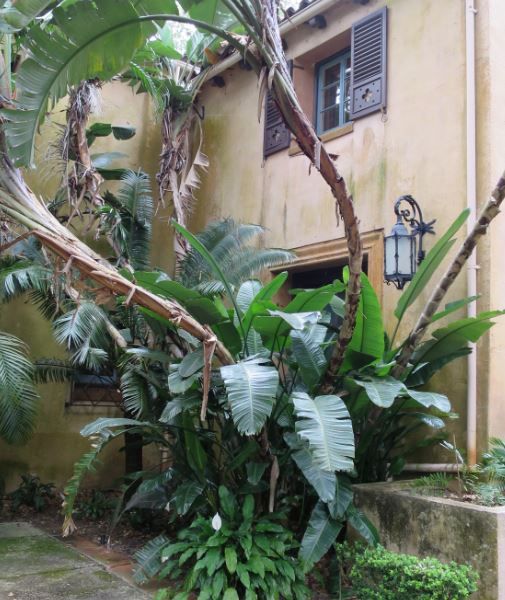 Ett bostadshus fanns det också med mer ordnade planteringar runt om. Det såg ändå ut som något som Disney hade kunnat hitta på. Fast det här var kanske originalet och inte tvärtom.