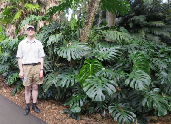 Monsteran var monsterstor (jämför med mannen till vänster som är över medellängd).