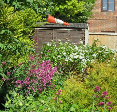 Hörnet som jag rensat från björnbär har plötsligt fått ett nytt blickfång; en kon på taket till grannens bod.