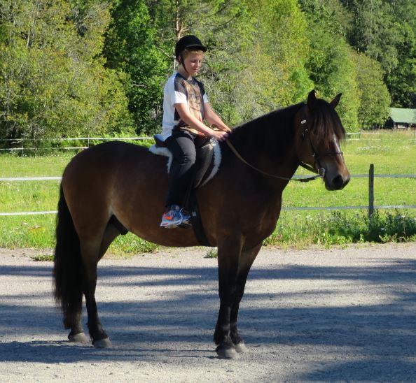 A övade också svängar med Blixten. Men på den här bilden har han just gjort halt för att rygga några steg (backa).
