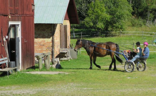 Här kommer K tillbaka från sin tur.