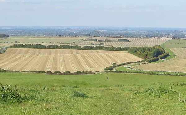 Med bara stubb kvar på åkrarna och löv som börjar skifta färg märks det att hösten är här. Men var man bara i lä så värmde solen så att det kändes som sommar. 